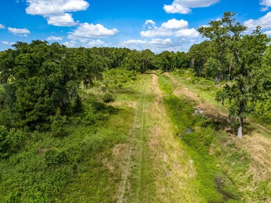0 Edenborough_Low Res-10