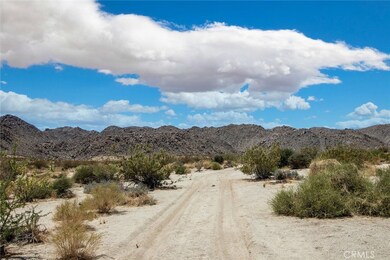 60810121 Cottonwood Dr, Joshua Tree, CA 92252 - photo 4