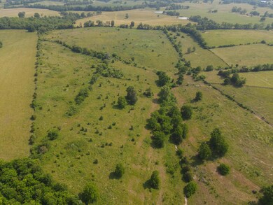 720 Oregon Rd, Versailles, KY 40383 - photo 4