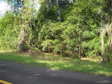 3301 N Page Ave, Hernando, FL 34442 - photo 2