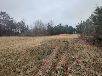 916 Tab Roberts Rd, Lawrenceville, GA 30043 - photo 4