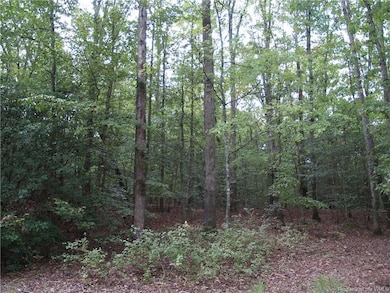 TBD Squirrel Hollow Ln, New Kent, VA 23011 - photo 4