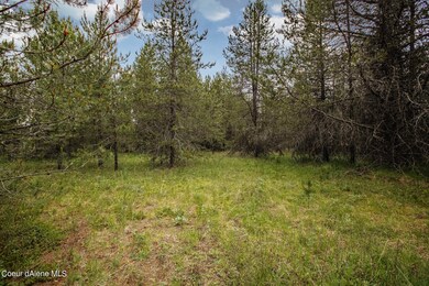 4_Vacant Land_Blanchard, ID
