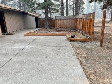 Back Yard 1