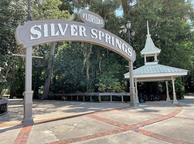 4 Fisher Trace, Ocklawaha, FL 32179 - photo 5