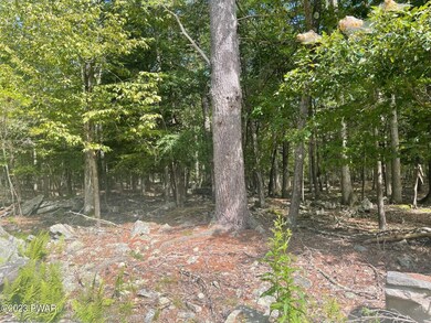 Lot 24 Westcolang Rd, Lackawaxen, PA 18435 - photo 3