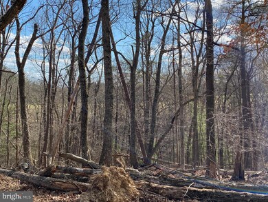 24 Pine Crest Ln, Winchester, VA 22603 - photo 7