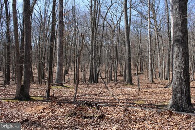 6.11 AC Sideling Mountain Trail, Great Cacapon, WV 25422 - photo 7