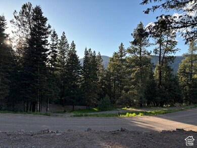 View of asphalt street with a forest view