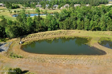 1206 Cross Water Cir, Leland, NC 28451 - photo 7