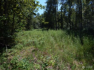 1135 E Axton Rd, Bellingham, WA 98226 - photo 2