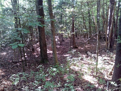 View of woods