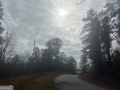 0 Sunshine Dr unit 10654666, Sparta, GA 31087 - photo 3