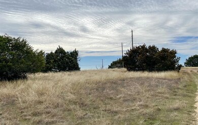 10046 Lakeview Ct, Whitney, TX 76692 - photo 3