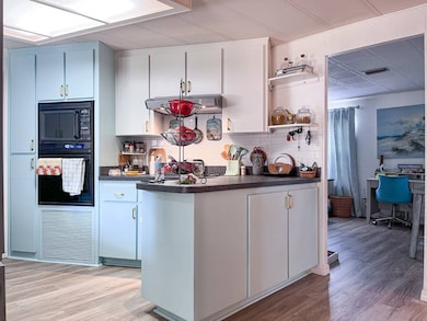 2301 Middleton St, Brooksville, FL 34601 - photo 2