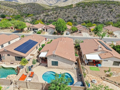 Backyard Layout