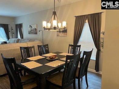 228 Bickley View Ct, Chapin, SC 29036 - photo 7