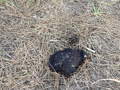 1617 U S 395, Chewelah, WA - photo 7