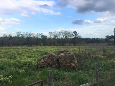 00 Pierce Chapel Rd, Cairo, GA 39828 - photo 4