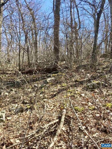 28 Pedlars Edge Dr, Rockfish, VA 22967 - photo 5
