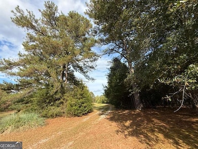 3113 Press Mann Rd, Elberton, GA 30635 - photo 7