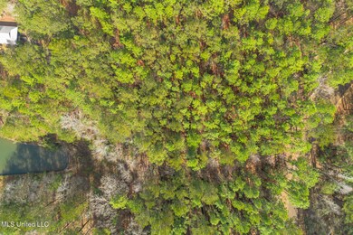 Lot 13-A Deep Water Point, Lumberton, MS 39455 - photo 7