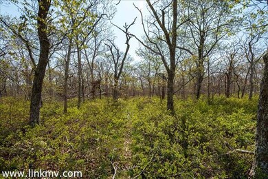 10 Quampache Lane (Lot 2 - Portion of Lot 3b), Edgartown, MA 02539 - photo 4