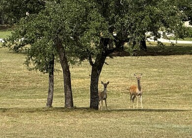 TBD Cloudwood Ranch Rd, Briggs, TX 78608 - photo 3