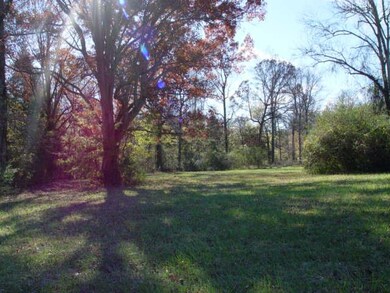 0 Belmar Cir, Manchester, TN 37355 - photo 3