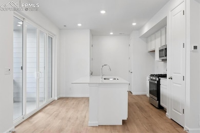 2486 Serviceberry Grove, Colorado Springs, CO 80915 - photo 5