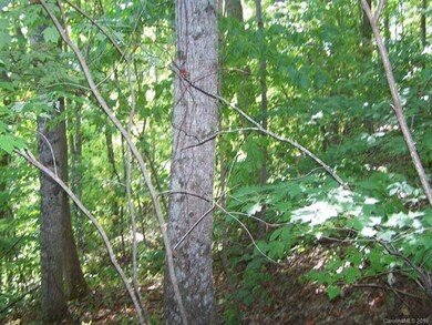 Large Trees