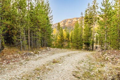 Lot 1 TBD Harris Rd, Anaconda, MT 59711 - photo 6