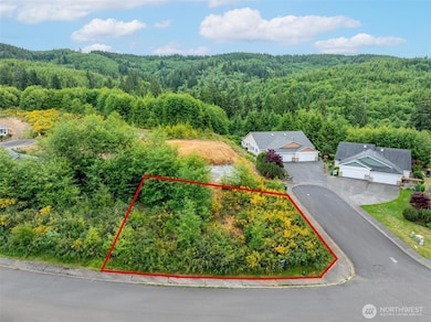 0 Sanderling (Lot 1) Dr unit NWM2326995, Hoquiam, WA 98550 - photo 4