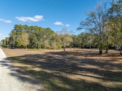 L1 Virginia Ln, Sneads Ferry, NC 28460 - photo 7