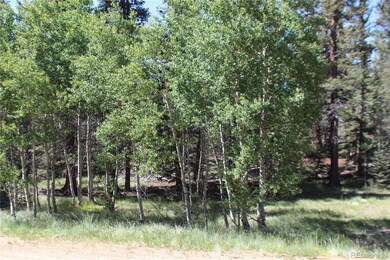 102 Kiwi Ct, Jefferson, CO 80456 - photo 5