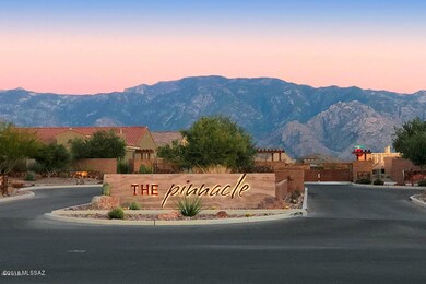 GATED PINNACLE AT CENTER POINTE VISTOSO