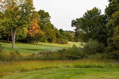 Unit 4 Inverness Terrace Ct, Baraboo, WI 53913 - photo 3