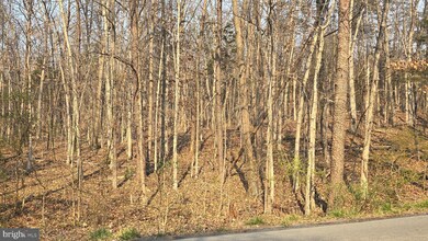 0 Hudson Hollow Rd, Stephens City, VA 22655 - photo 6