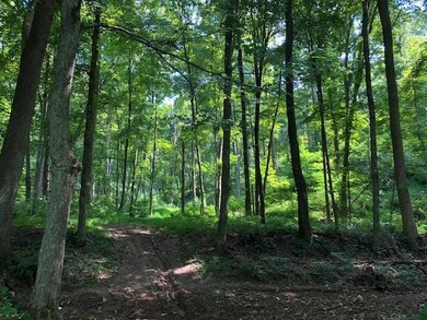 0 Walnut Dowler Rd, Logan, OH 43138 - photo 5