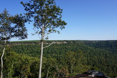 20201008010543291000000000-o