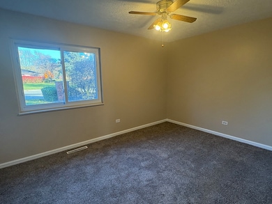 1119 S Curtis Ave unit A1, Kankakee, IL 60901 - photo 5