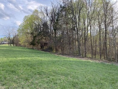 10 Carthage Rd, Red Boiling Springs, TN 37150 - photo 6