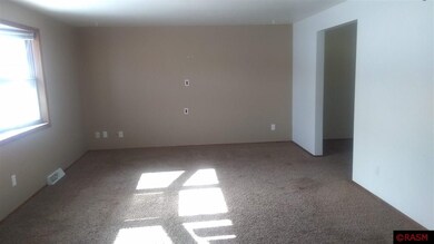 919 E Hawthorne St, Albert Lea, MN 56007 - photo 4