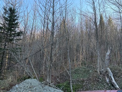 M5 L46D Black Bear Ave, Upper Frenchville, ME 04745 - photo 7