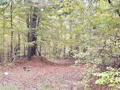 5317 Highway 3, Sarah, MS 38665 - photo 6