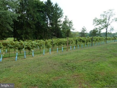 954 Limekiln Rd, Doylestown, PA 18901 - photo 4