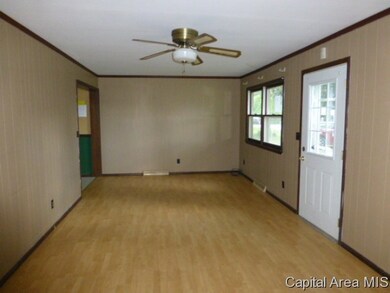 244 N Pitt St, Virginia, IL 62691 - photo 2