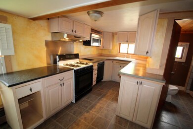 Concrete counters, custom details