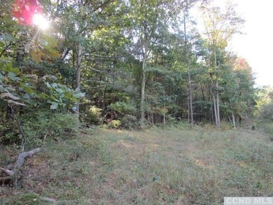 0 Cairo Junction Rd unit 123362, Catskill, NY 12414 - photo 2