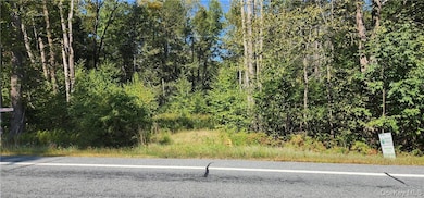 0 State Route 42 Route unit KEY858708, Neversink, NY 12765 - photo 2
